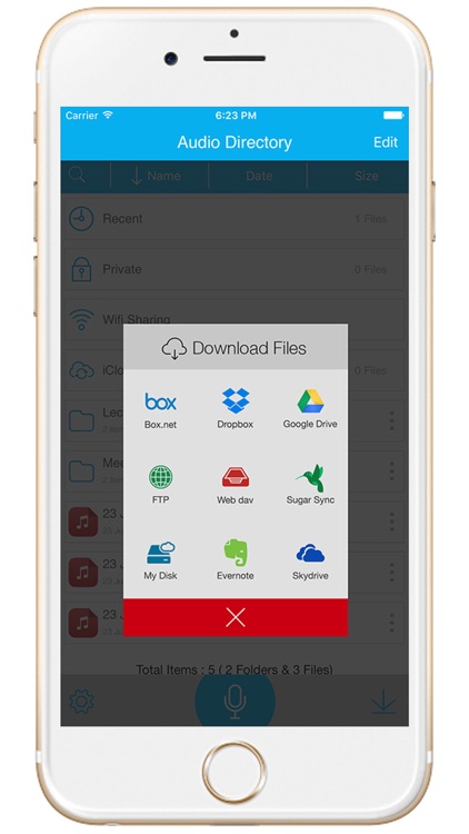 Recorder Pro : Voice Memo screenshot-4