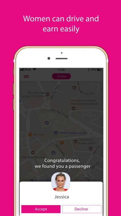 Blink Driver - Ridesharing