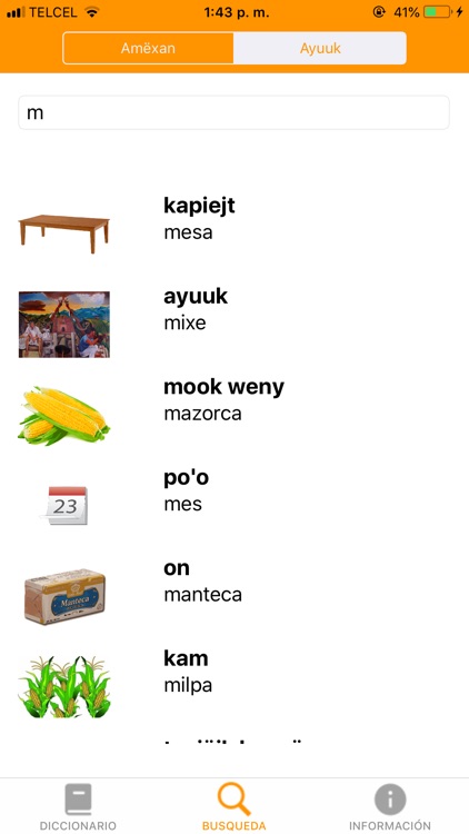 Diccionario Traductor Ayuuk