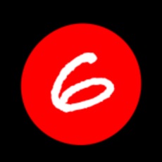 Activities of Match Cricket