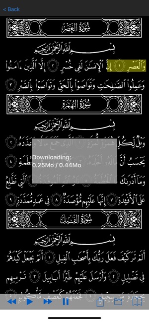 HolyQurann(圖9)-速報App