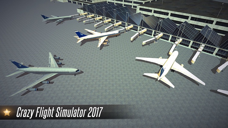 Crazy Flight Simulator 2017