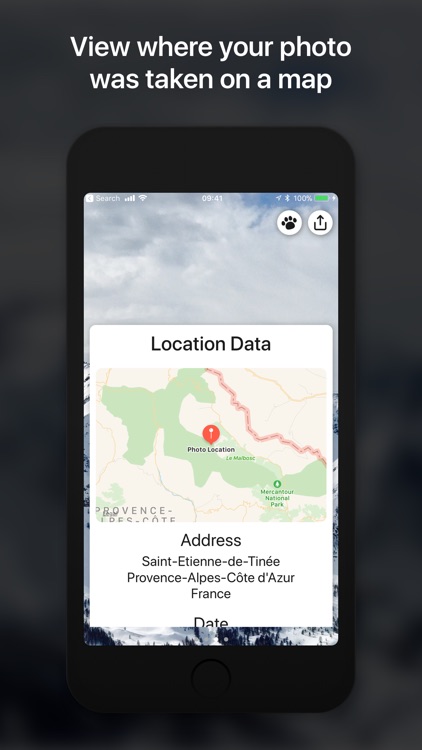 Metadata