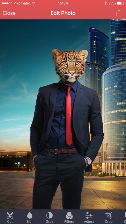 Pixomatic photo editor screenshot-7