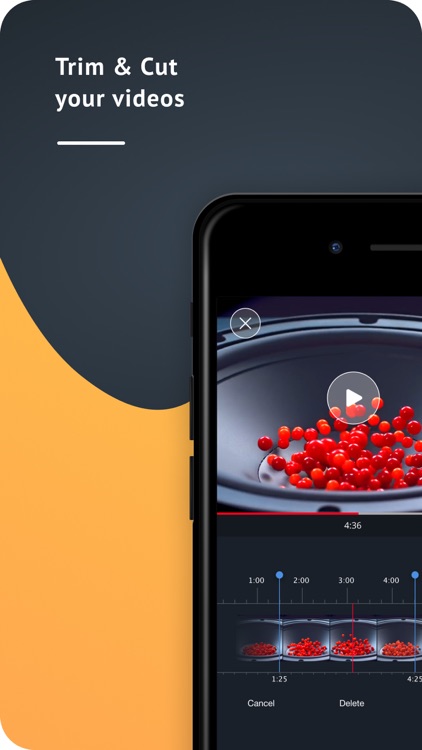 PauseCam Video Recorder
