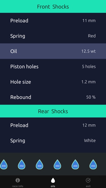 RC Shocks Setup