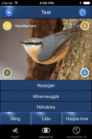 Fågelsång Id  - automatisk identifiering av fåglar - náhled