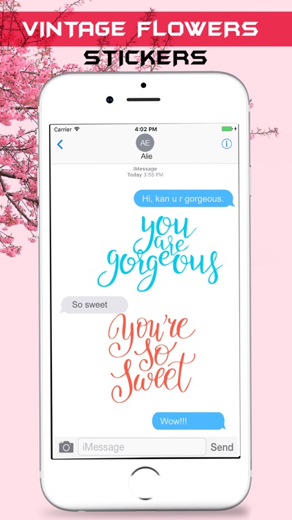 Vintage Watercolor Stickers Pack screenshot-3
