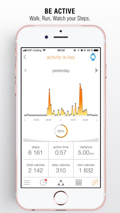 Alpina Smartwatch screenshot 2