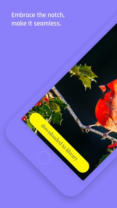 How to cancel & delete Notchless - Wallpapers from iphone & ipad 1