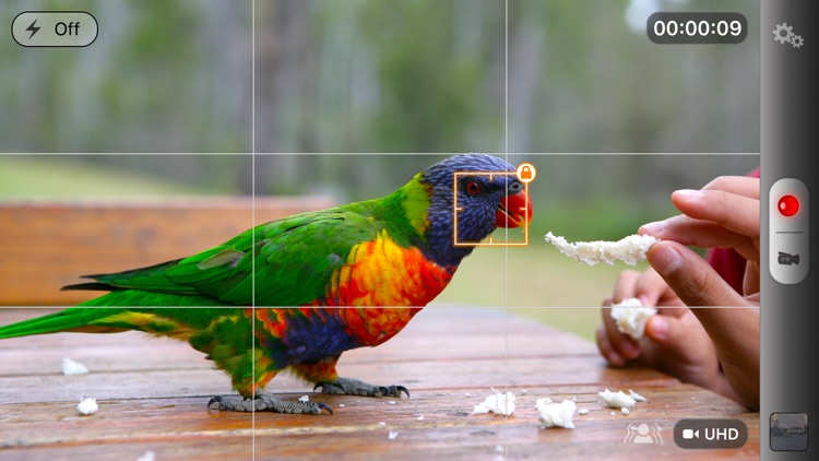 Video Camera+