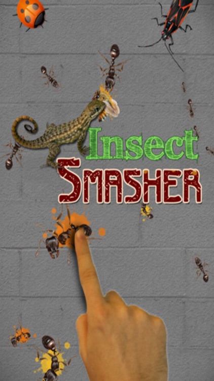 Bug Insect Smasher Evolution