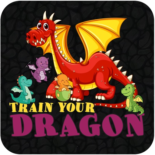 Train your Dragon