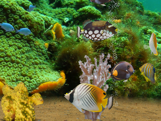 MyReef 3D Aquarium 2 Lite | App Price Drops