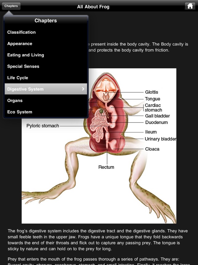 Frog Dissection(圖5)-速報App