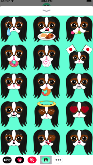 Tri Color Japanese Chin(圖4)-速報App