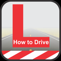 Driving Instructor