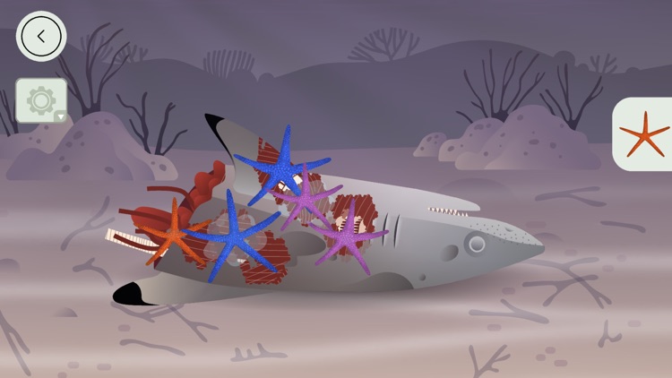 Coral Reef by Tinybop screenshot-3