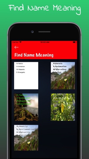 Find Name Meaning(圖5)-速報App