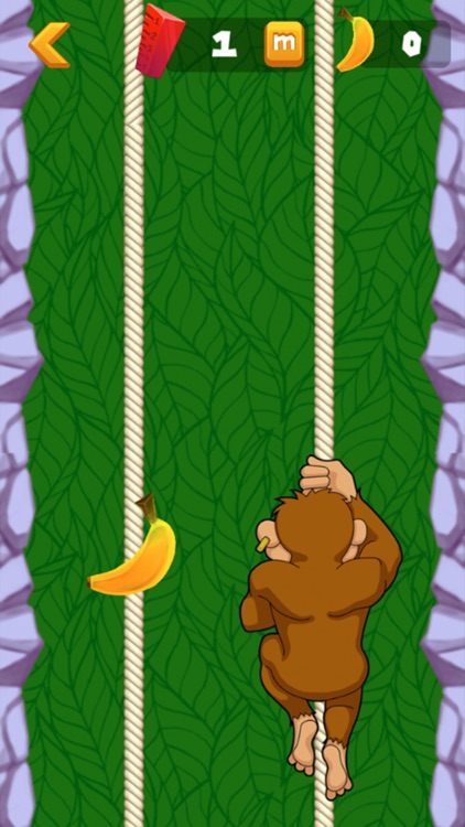 Monkey Rope Swing