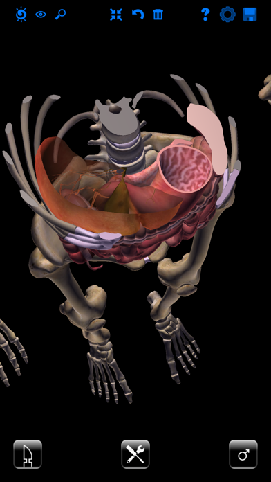 ザイゴット3D人体解剖 screenshot1