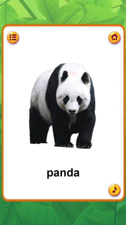 Animal Sounds : Flashcards