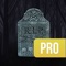 *** PRO: NO ADVERTS IN THIS APP ***