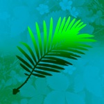 黑龙江常见野生植物图鉴