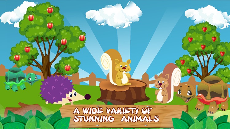 Wonder Animal Pretend Zoo