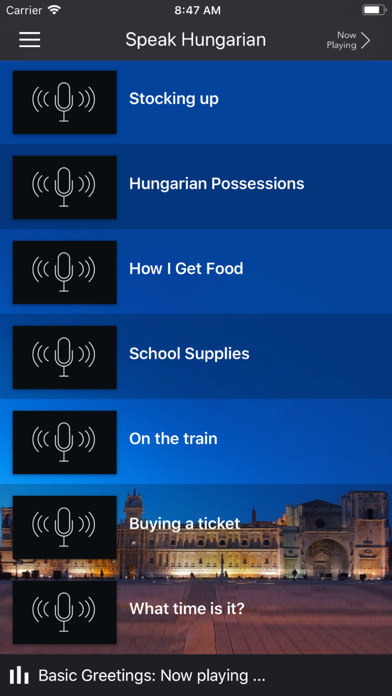 Fast - Speak Hungarian screenshot 4