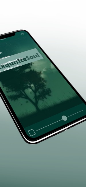 Exquisite Soul Radio(圖1)-速報App