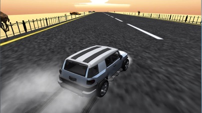Safari Drifting screenshot 3