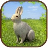Get Extreme Rabbit 3D Simulator for iOS, iPhone, iPad Aso Report