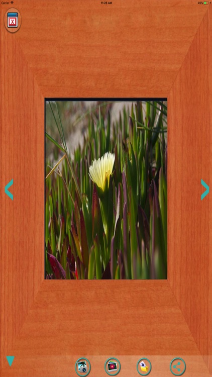 Photo frames-Frames & pictures screenshot-3