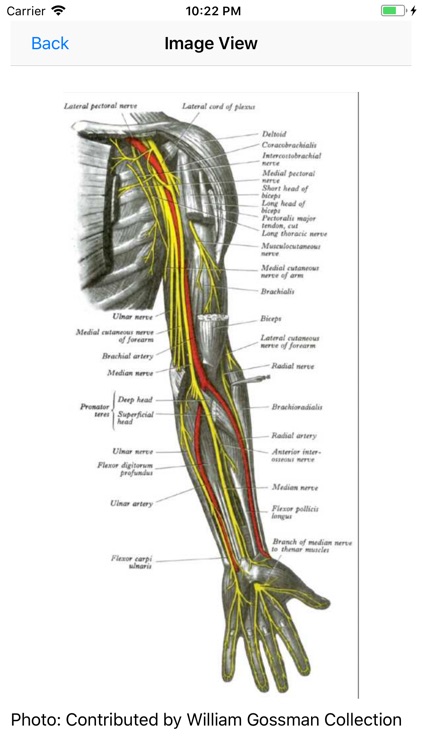 Trauma Nursing