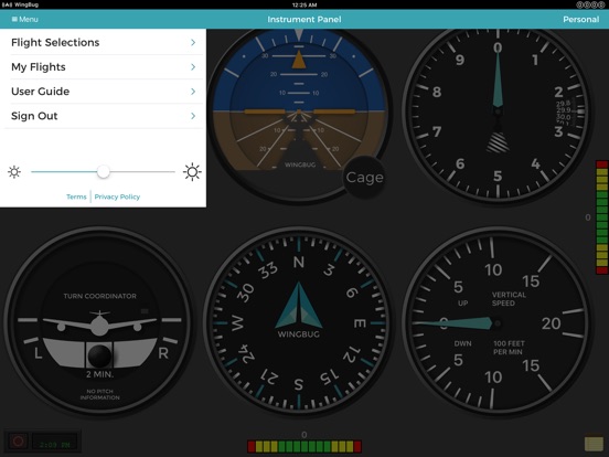 iPad Image of WingBug