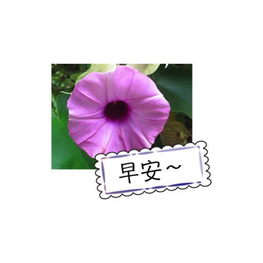 花园问候卡 stickers by wenpei icon