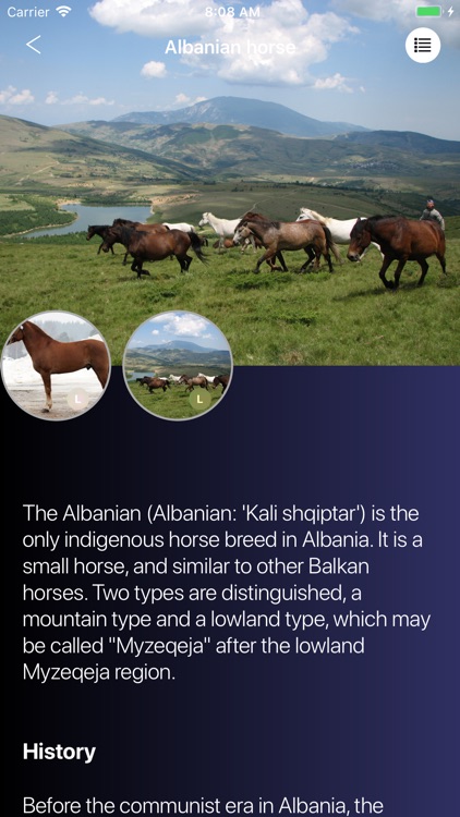 Horses 2.0