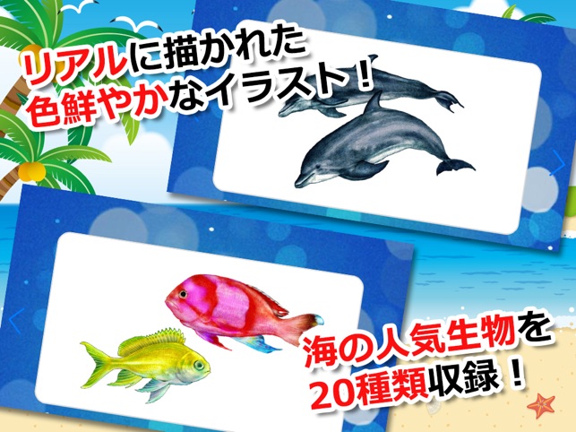 みんなの海の生き物カード En App Store