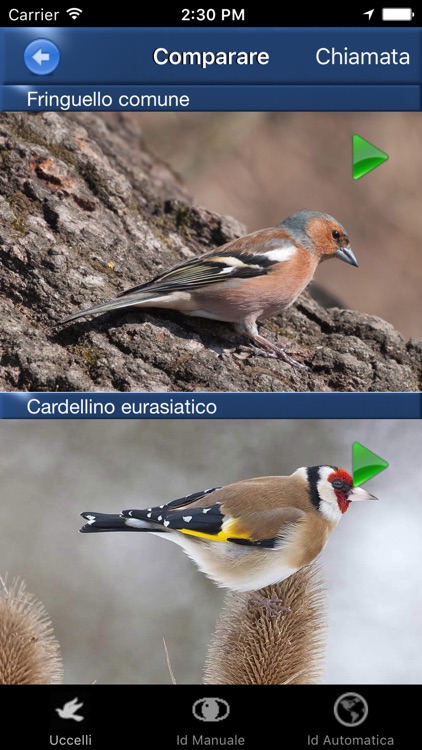 Canzoni d'uccelli, versi di richiamo degli uccelli screenshot-3