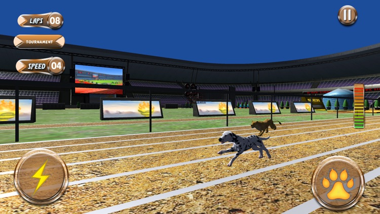 Greyhound Racing Tournament 2 screenshot-3