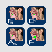 Speech Articulation