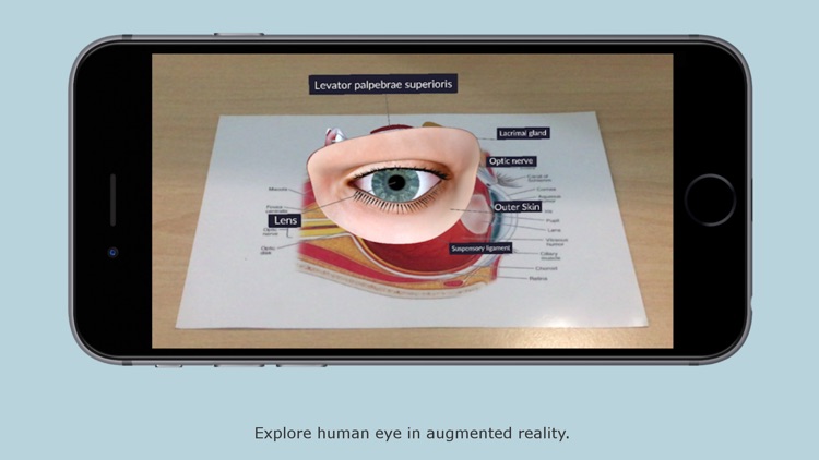 Human Eye - Augmented Reality