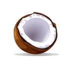 Coconut Budget