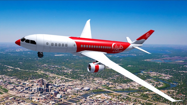 Airplane flight simulator 3