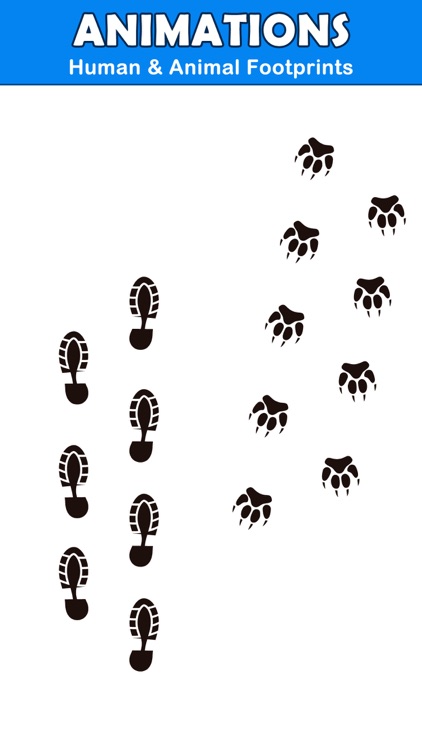 Animated Footprint Stickers