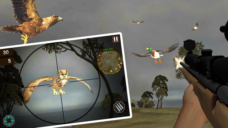 Island Bird Hunting: Shooter Survival