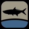 Siegleco, LLC - Fish the Gulf アートワーク