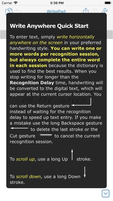 WritePad Pro. Screenshot 10