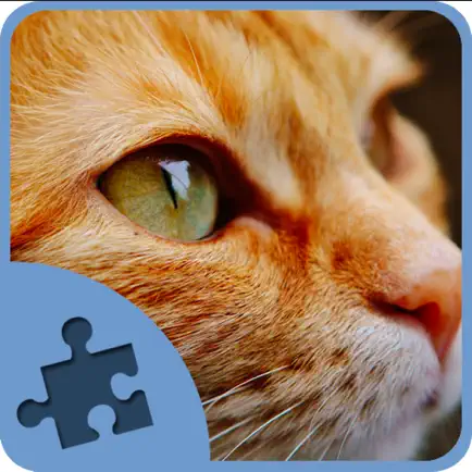 Cat and Kitten Jigsaw Puzzles Cheats